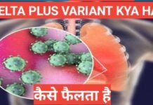 Delta Plus Variant kya hai | what is delta variant Delta Plus Variant kya hai